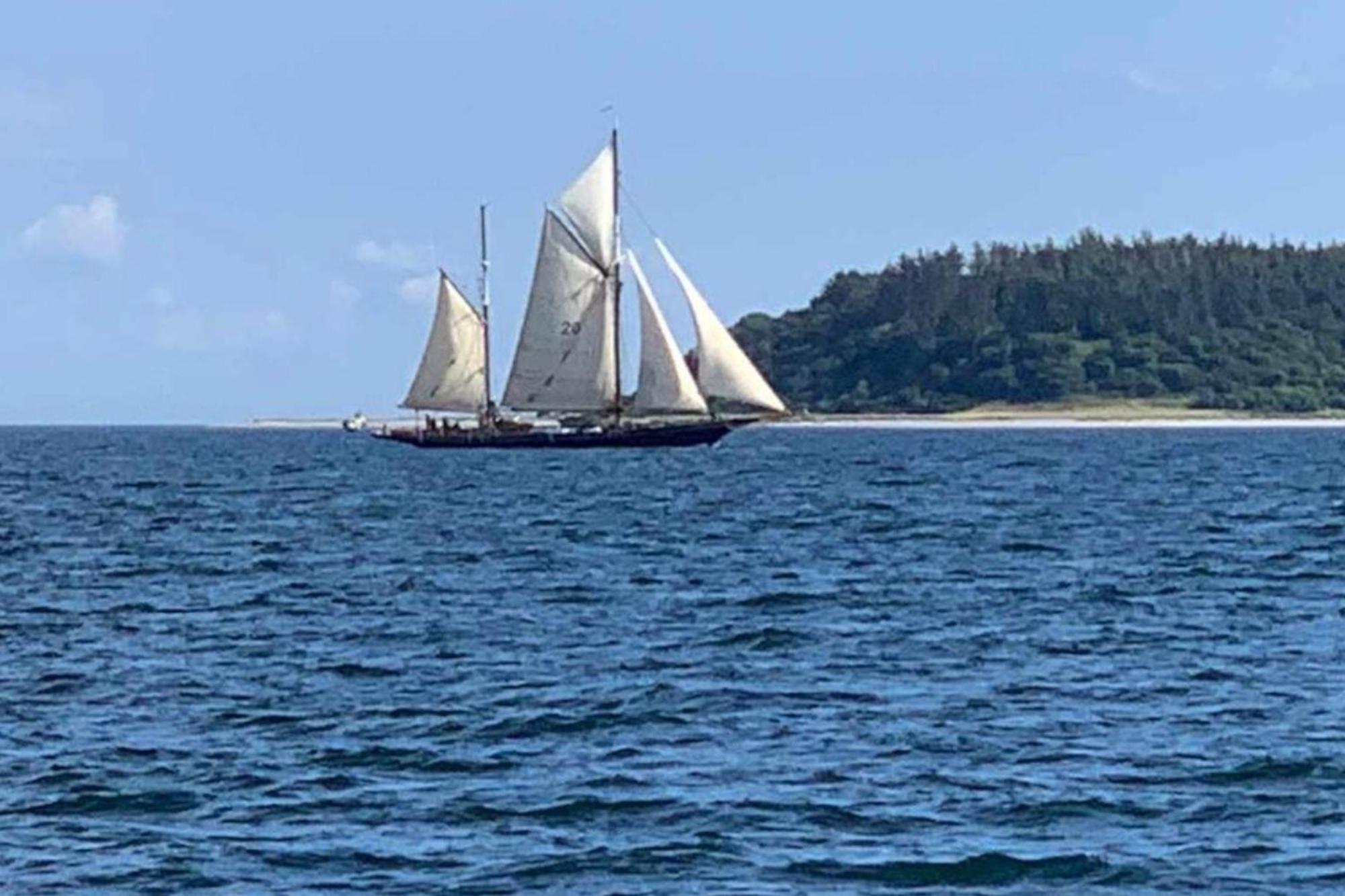 Ostsee, Wunderschoene Wohnung Mit Meerblick ハリスレー エクステリア 写真