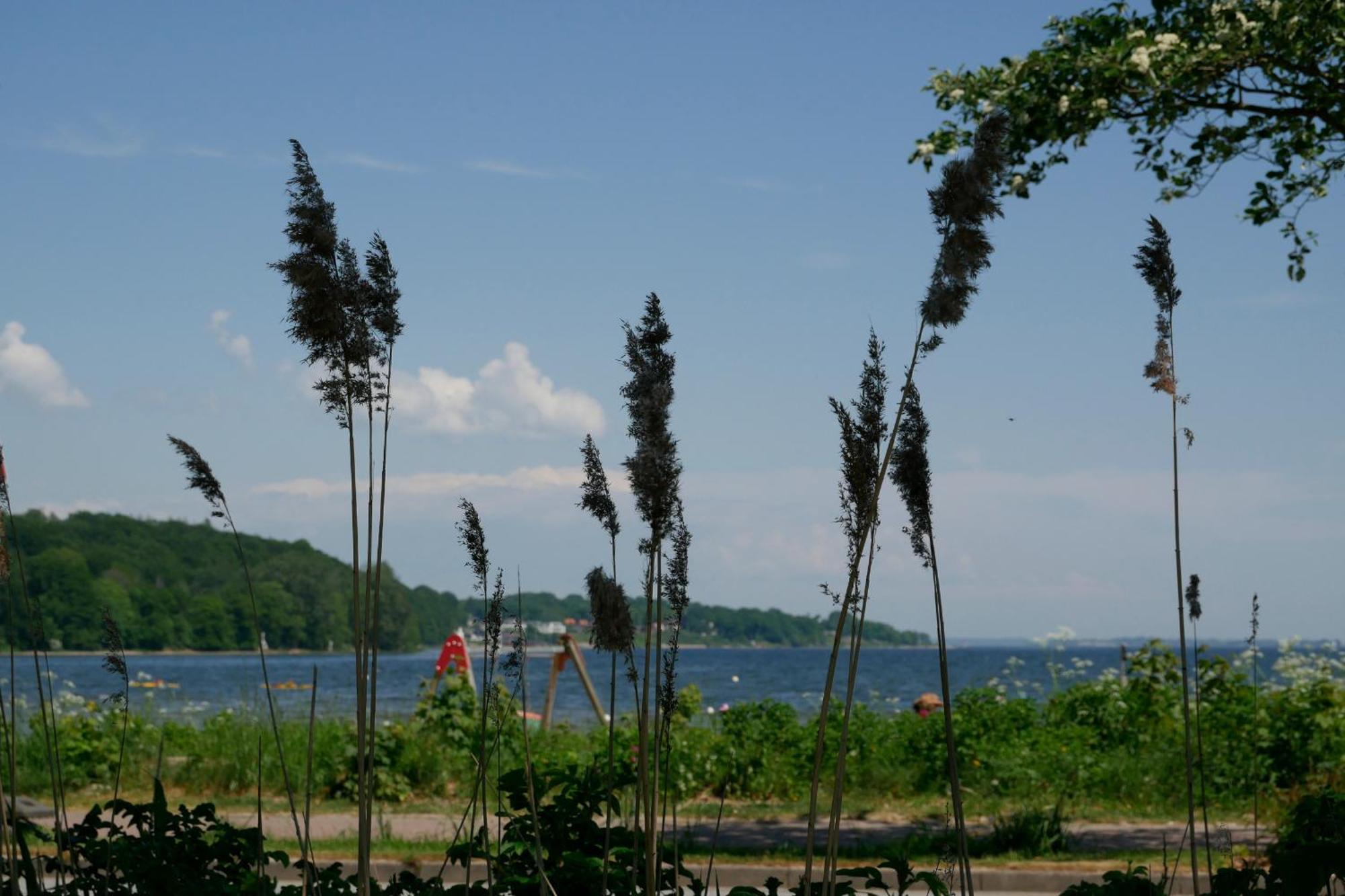 Ostsee, Wunderschoene Wohnung Mit Meerblick ハリスレー エクステリア 写真